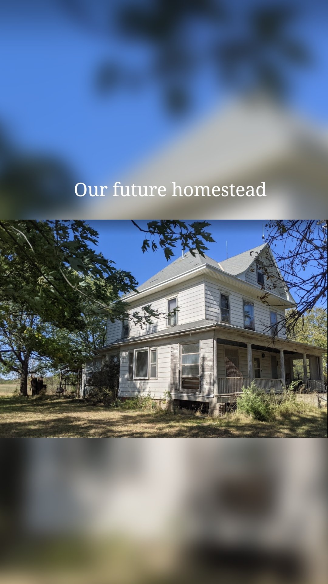 Our future homestead
 